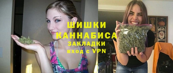 МДПВ Алзамай