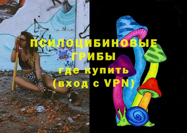 МДПВ Алзамай