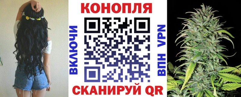 Каннабис гибрид Ардатов